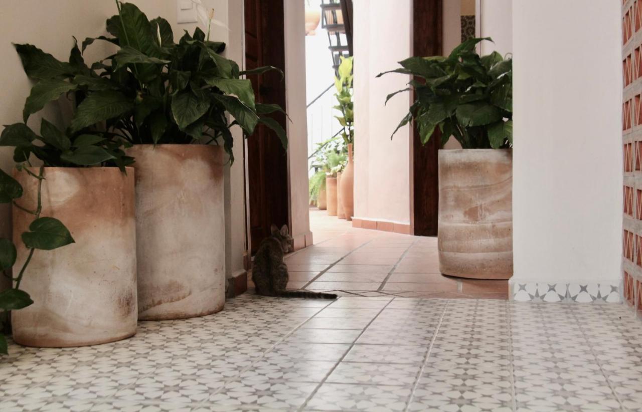 ホテル Casa Irake グアダラハラ エクステリア 写真